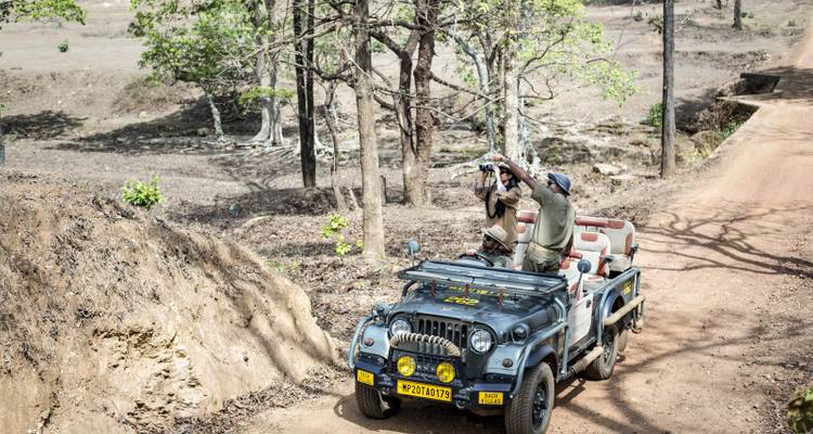 5 Days in Kanha National Park, Pure Jungle Book Experience - Dizkvr Tours