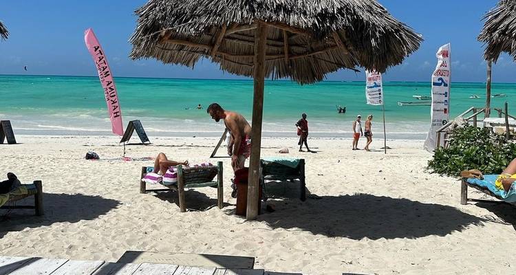 Escena de playa con personas relajándose bajo sombrillas.