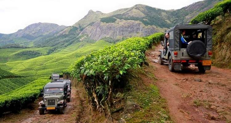 Vehículos todoterreno en un sendero de tierra a través de colinas frondosas.