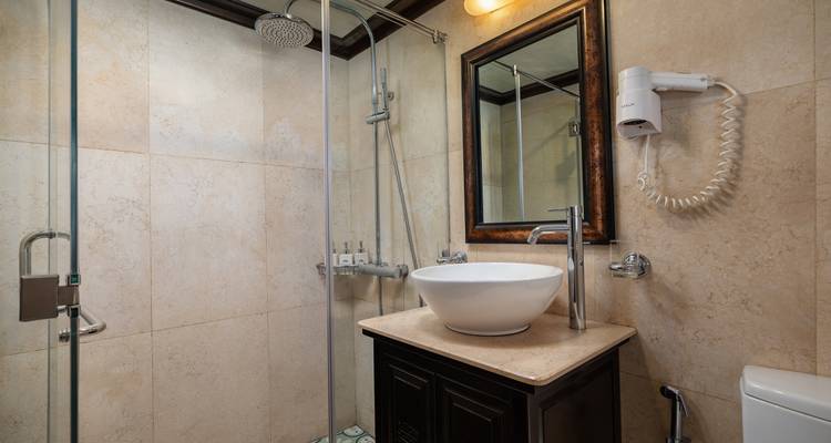 Clean modern bathroom on board a cruise vessel featuring glass shower and bowl sink.