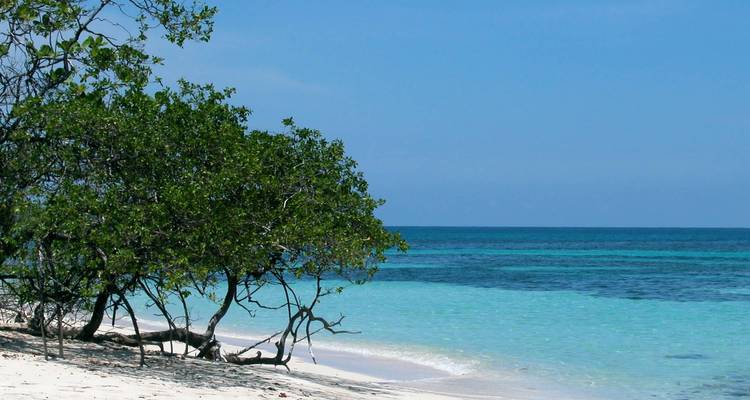 Unberührter Strand mit türkisfarbenem Wasser und einem Baum im Vordergrund.