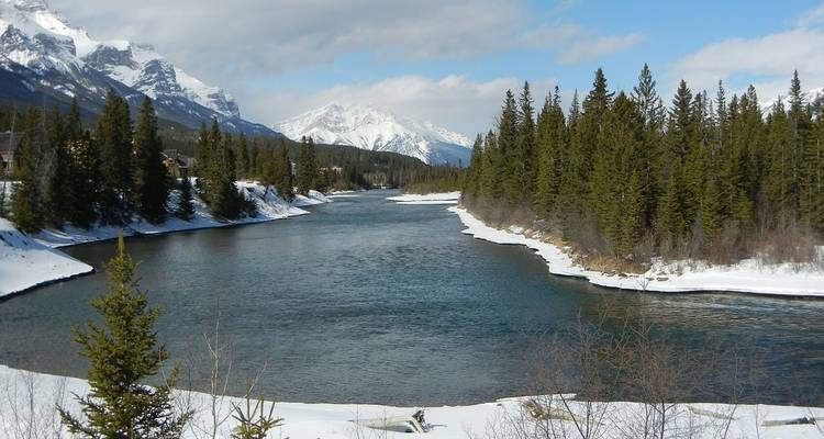 Río atravesando un área boscosa nevada.