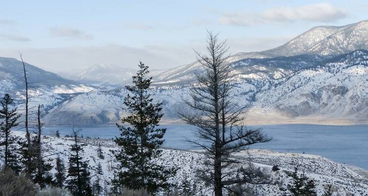 Des montagnes saupoudrées de neige et un lac calme aperçus à travers des arbres dénudés sous un ciel pâle.