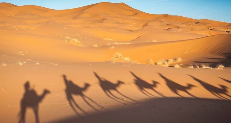 Wüstenlandschaft mit Kamelschatten im Sand.