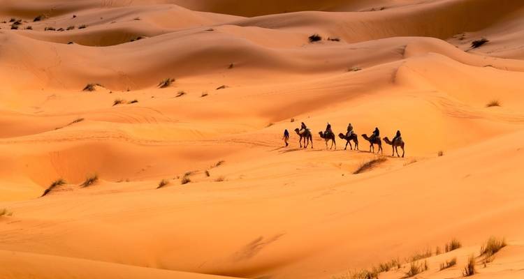 Kameltrekking durch Sanddünen.