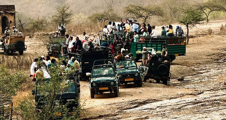 A group of people on a safari tour in open vehicles.