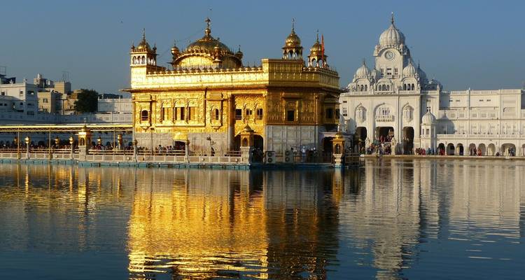 Goldener Tempel, der sich im Wasser spiegelt, mit weißer Architektur daneben.