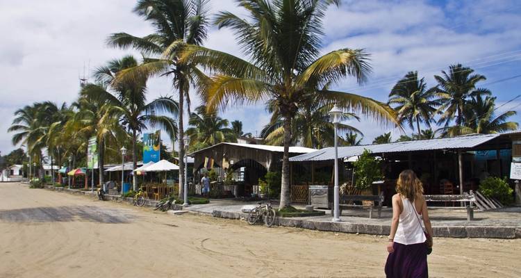 A street lined with palm trees and local shops, person walking.
