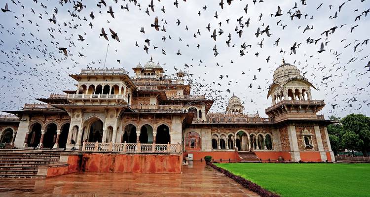Albert Hall Museum in Jaipur mit einem Schwarm Tauben, der darüber hinwegfliegt.