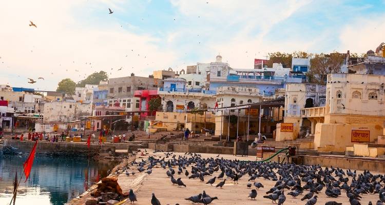 Schilderachtig uitzicht over de stad Pushkar met een grote aanwezigheid van duiven.
