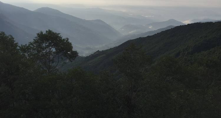 Mountainous landscape with dense green forest.