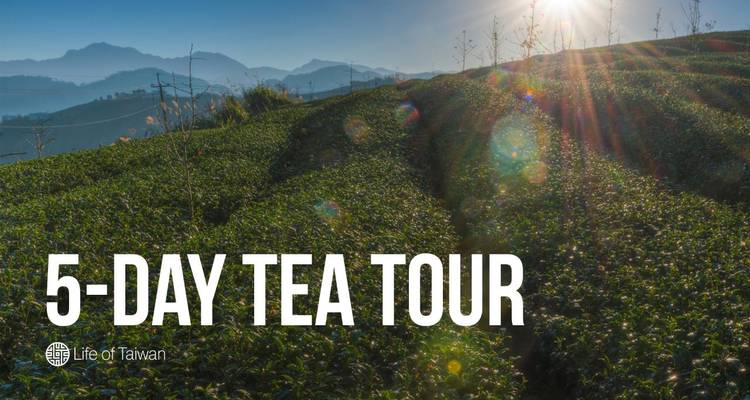 5-Day Private Tea Tour in Taiwan - Life of Taiwan Tours
