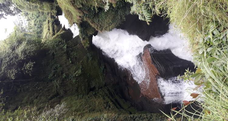 Narrow gorge waterfall plunging through moss-covered rock walls surrounded by dense greenery.
