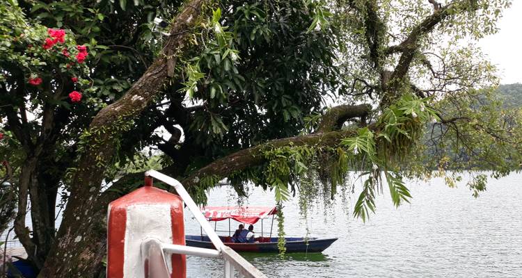 Boat with people on a lake surrounded by trees.