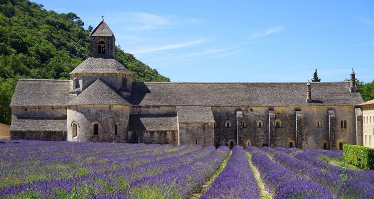 Stone abbey framed by fragrant purple lavender fields stretching toward a forested hill.