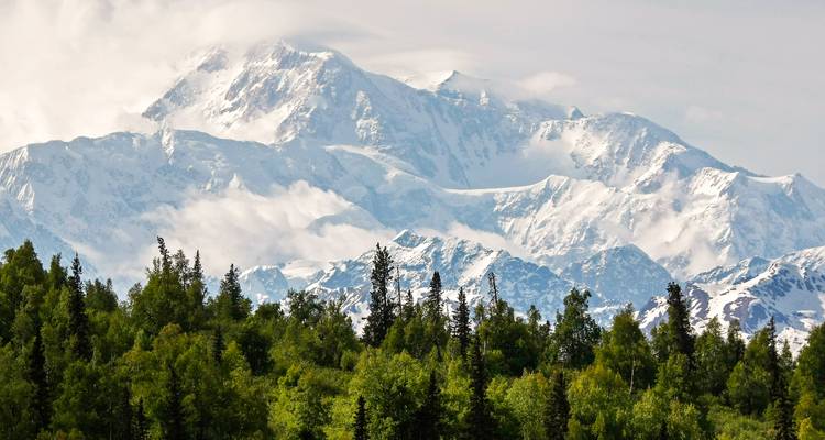 Grand Alaskan Cruise & Tour - Northbound Direction - YMT Vacations