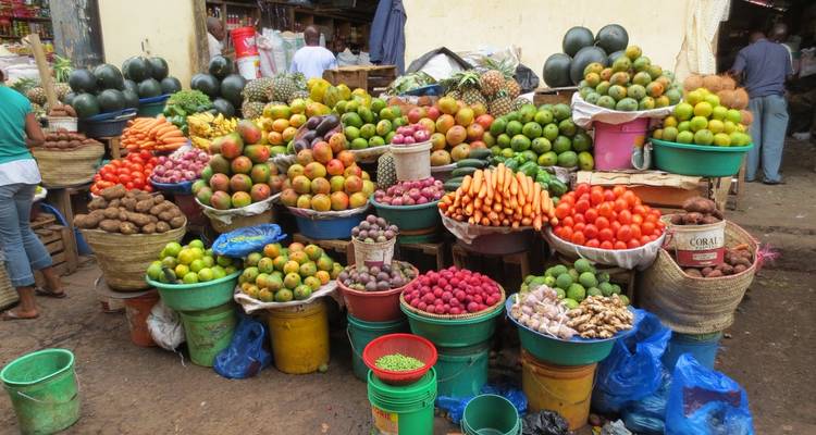 3 Days Rundugai Maasai Culture Village, Kikuletwa Hot Springs and Moshi Tour - Kilimanjaro and Safaris Tours