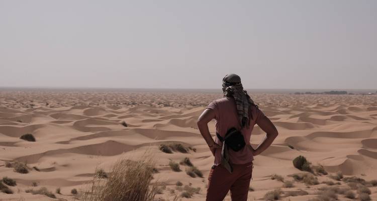 Man viewing a vast desert landscape composed of sand dunes.