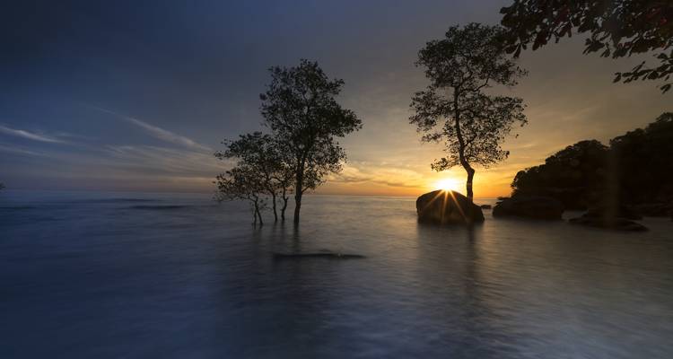 Escena costera tranquila al atardecer con árboles emergiendo del agua apacible y el sol asomándose detrás de una roca.