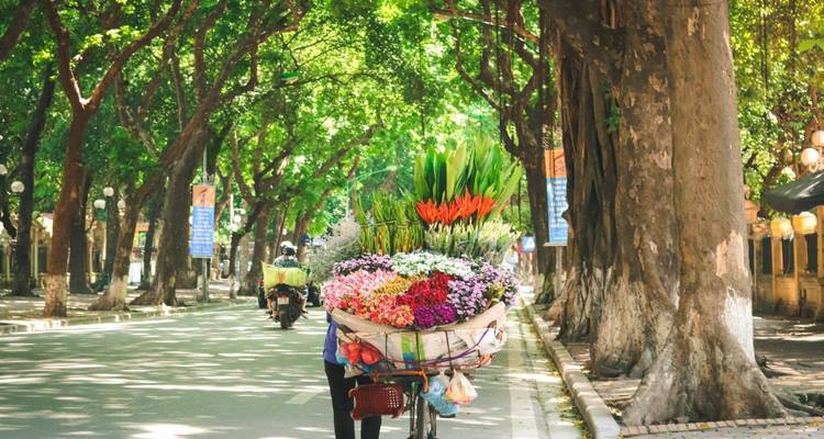 Una bicicleta llevando flores coloridas por una calle arbolada.