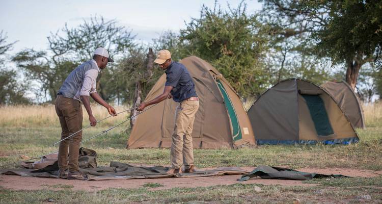 Dos personas montando una tienda de campaña en un campamento.