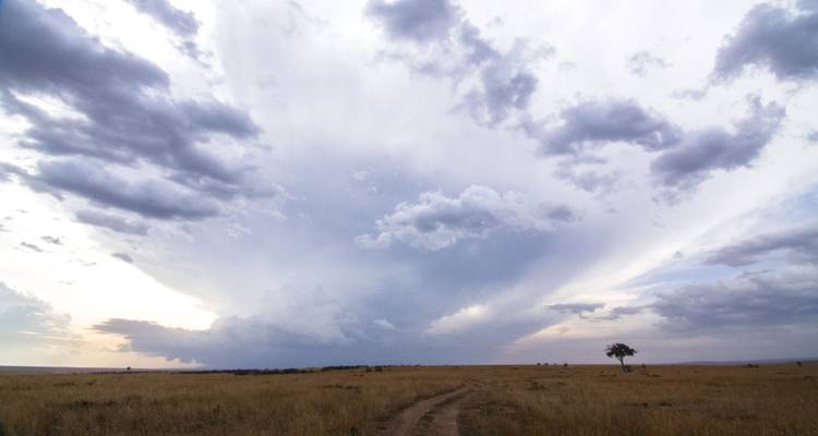 Cielo dramático con nubes densas sobre un paisaje de sabana.