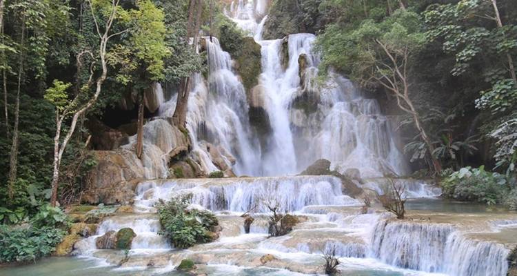 Una magnífica cascada cayendo en cascada por una exuberante vegetación.