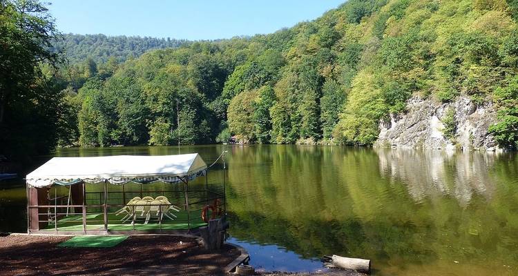 Reflective lake surrounded by forest.