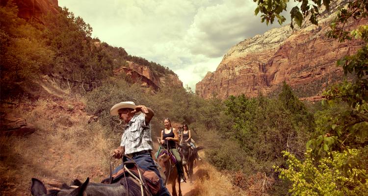 Los jinetes a caballo siguen un sendero polvoriento a través de paisajes de cañones con rocas rojas.