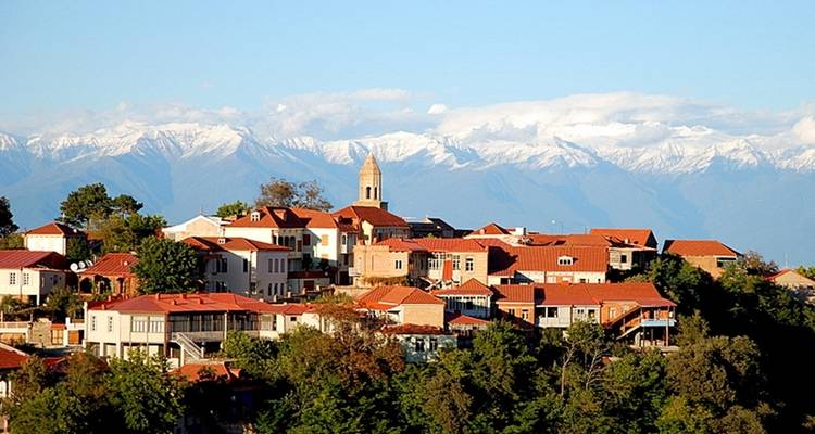 Vue pittoresque d'un village avec des montagnes en arrière-plan.
