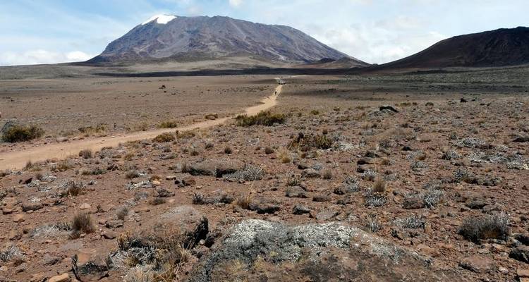 Trail leading to Mount Kilimanjaro across a barren landscape.