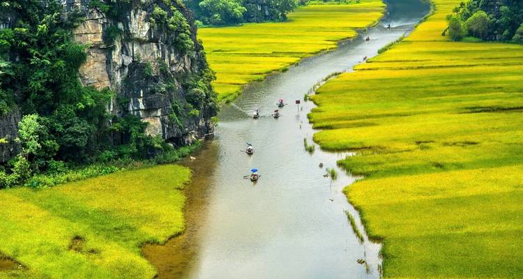 Río con barcas navegando a través de exuberantes campos de arroz verdes.