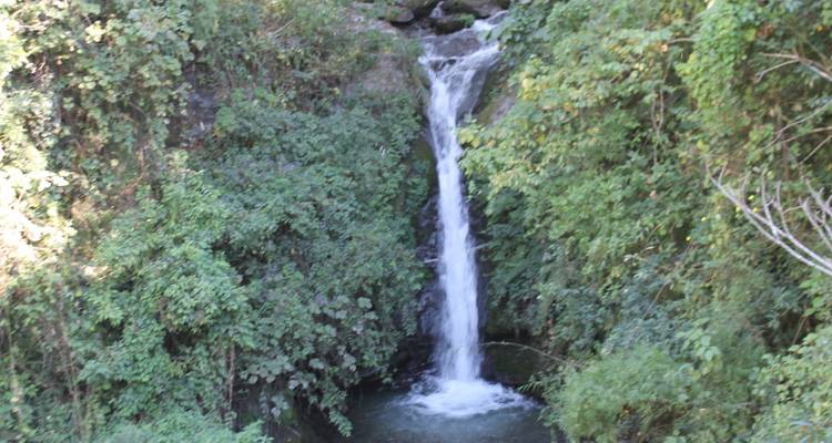 Waterfall cascading down a rocky cliff surrounded by dense greenery.