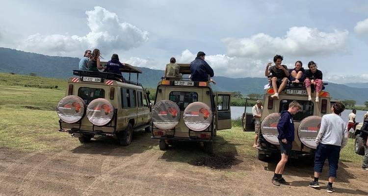 Véhicules de safari avec des touristes dans une zone pittoresque.