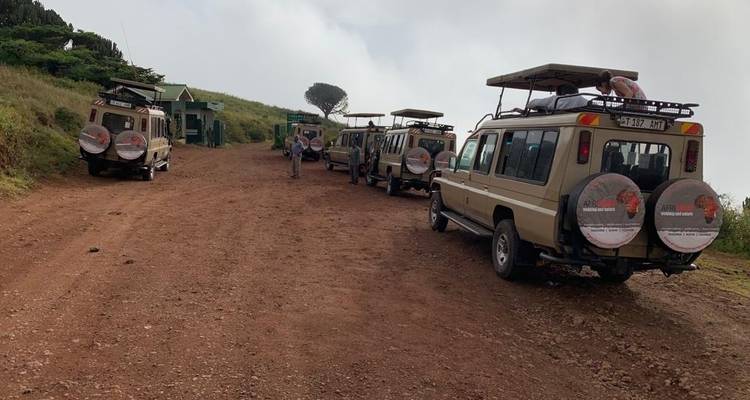 "File de véhicules de safari sur un chemin de terre."