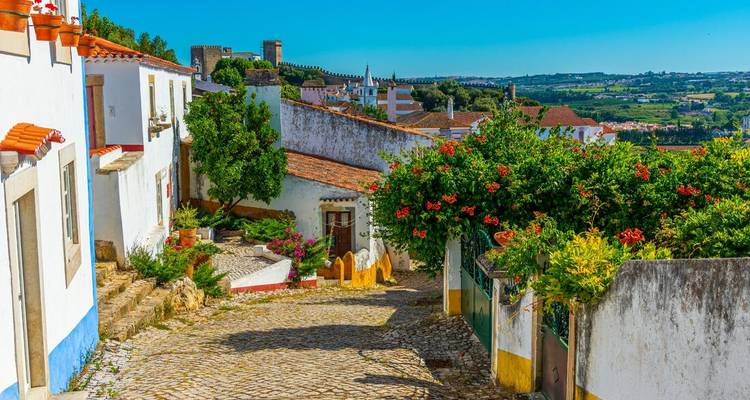 Charmante Kopfsteinpflasterstraße mit bunten Häusern und Blumen.