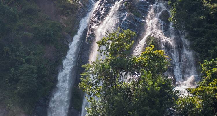 Wasserfälle, die durch Bäume in einem Wald hinabstürzen.
