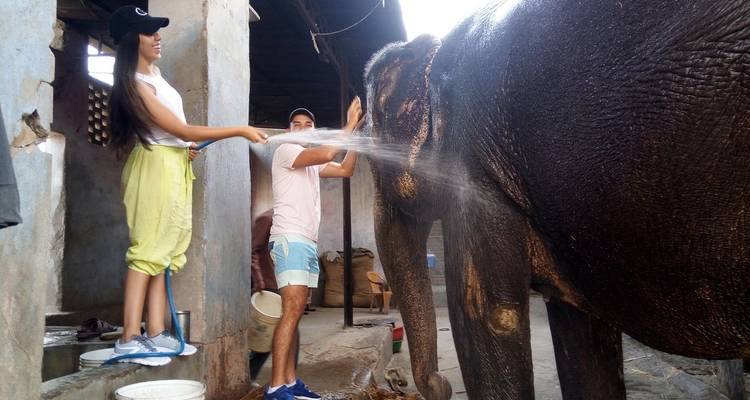Dos personas lavando un elefante en un refugio.