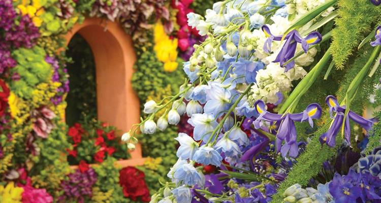 Chelsea Flower Show Reverse 2020 - Back-Roads Touring