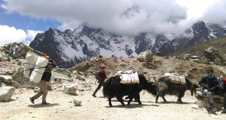 Menschen, die mit Yaks in einer bergigen Region wandern.