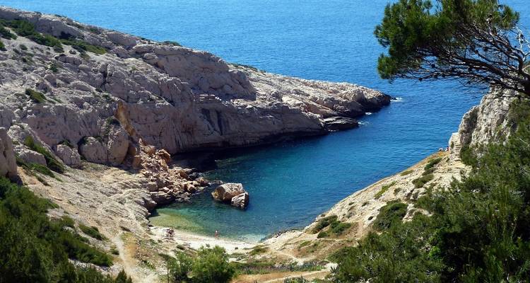 Cala turquesa apartada tallada en acantilados de piedra caliza a lo largo de la costa mediterránea cerca de Marsella.