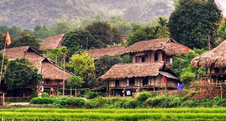 Traditionelle Dorfhäuser inmitten üppiger Vegetation und Felder