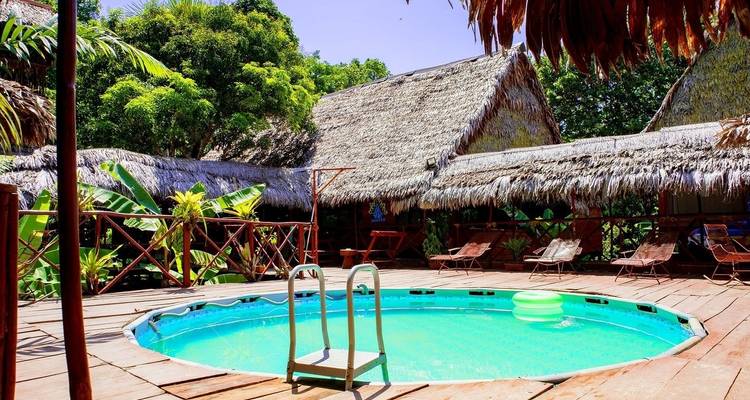 Een lodge met rieten dak met een rond zwembad omgeven door tropische planten.