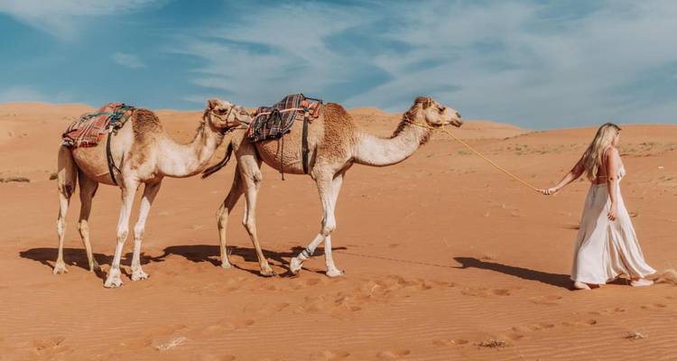 Une personne menant deux chameaux à travers les sables du désert.