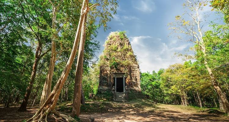 Ruinas de un antiguo templo rodeadas de árboles.