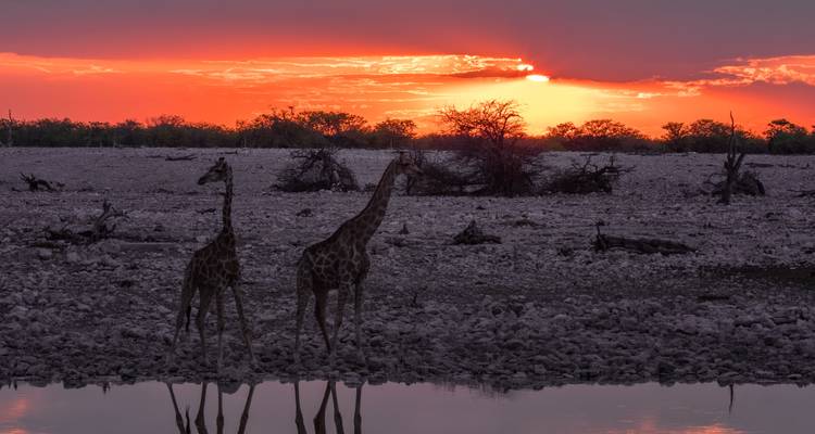 Deserts & Dunes of Namibia - African Travel