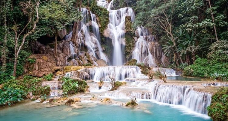 Cascadas impresionantes rodeadas de exuberante vegetación.
