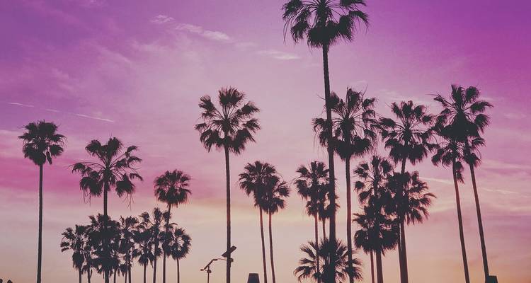 Los Angeles, San Francisco, Las Vegas, Grand Canyon National Park, and Disneyland Tour from LA (with Airport Transfers) - Globerouter