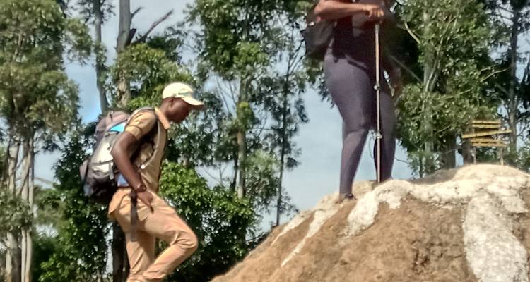 Wanderer auf einem felsigen Pfad zwischen Bäumen.