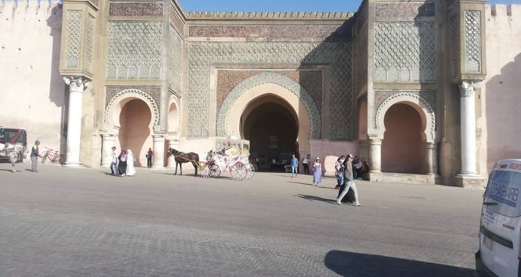 A large historic gate with a horse-drawn carriage nearby.
